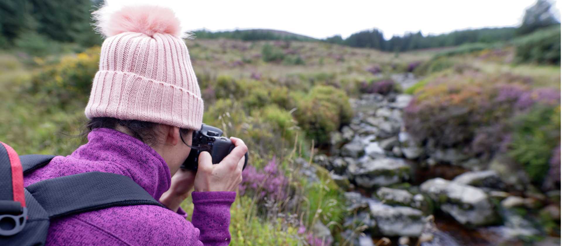 Photographing wild flowers on the Wicklow Way