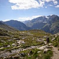 Alpine panorama on the Monte Rosa hike | Mario Simoes