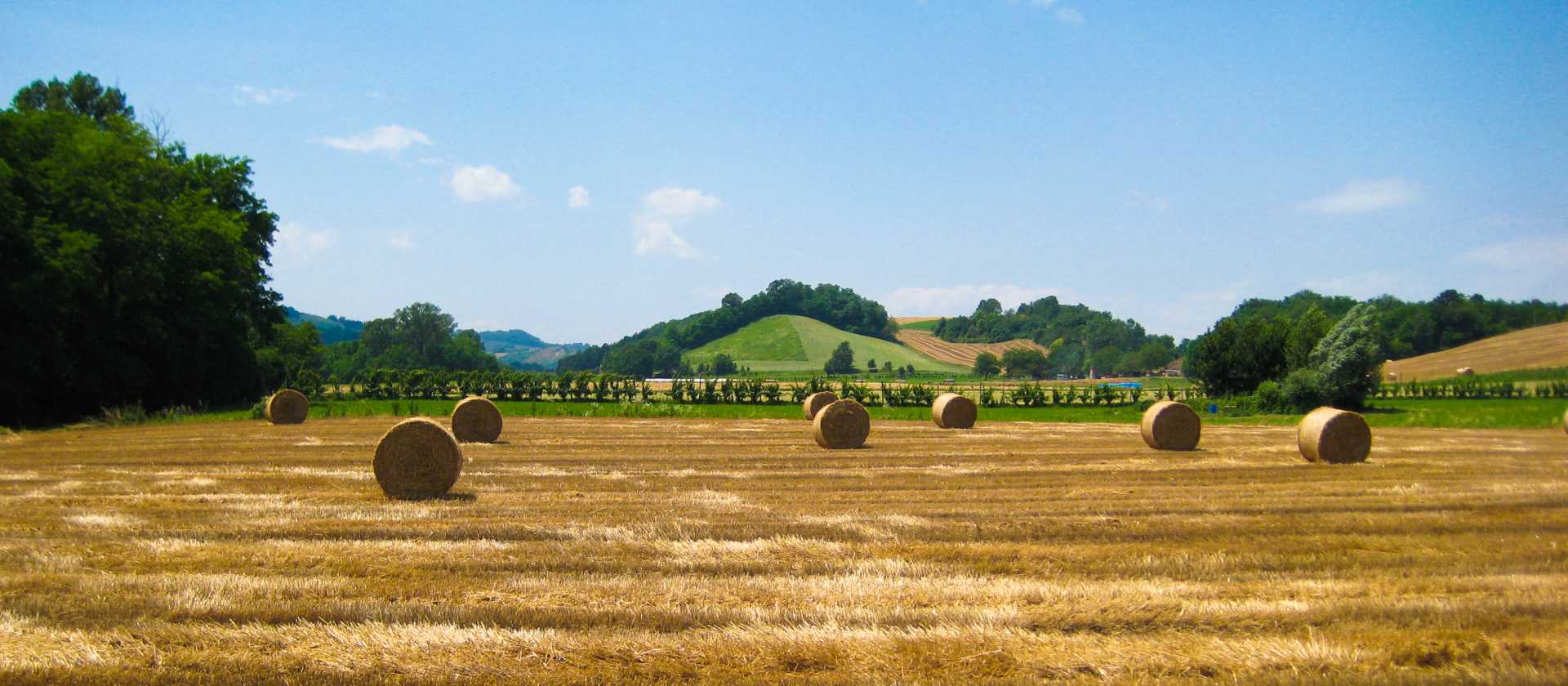 Pass by rural landscapes on your Via Francigena walk
