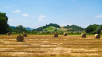 Pass by rural landscapes on your Via Francigena walk