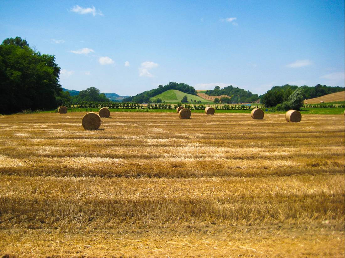 Pass by rural landscapes on your Via Francigena walk