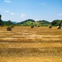 Pass by rural landscapes on your Via Francigena walk