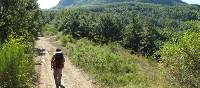 Hikers on the trail to Assisi on the St Francis Way