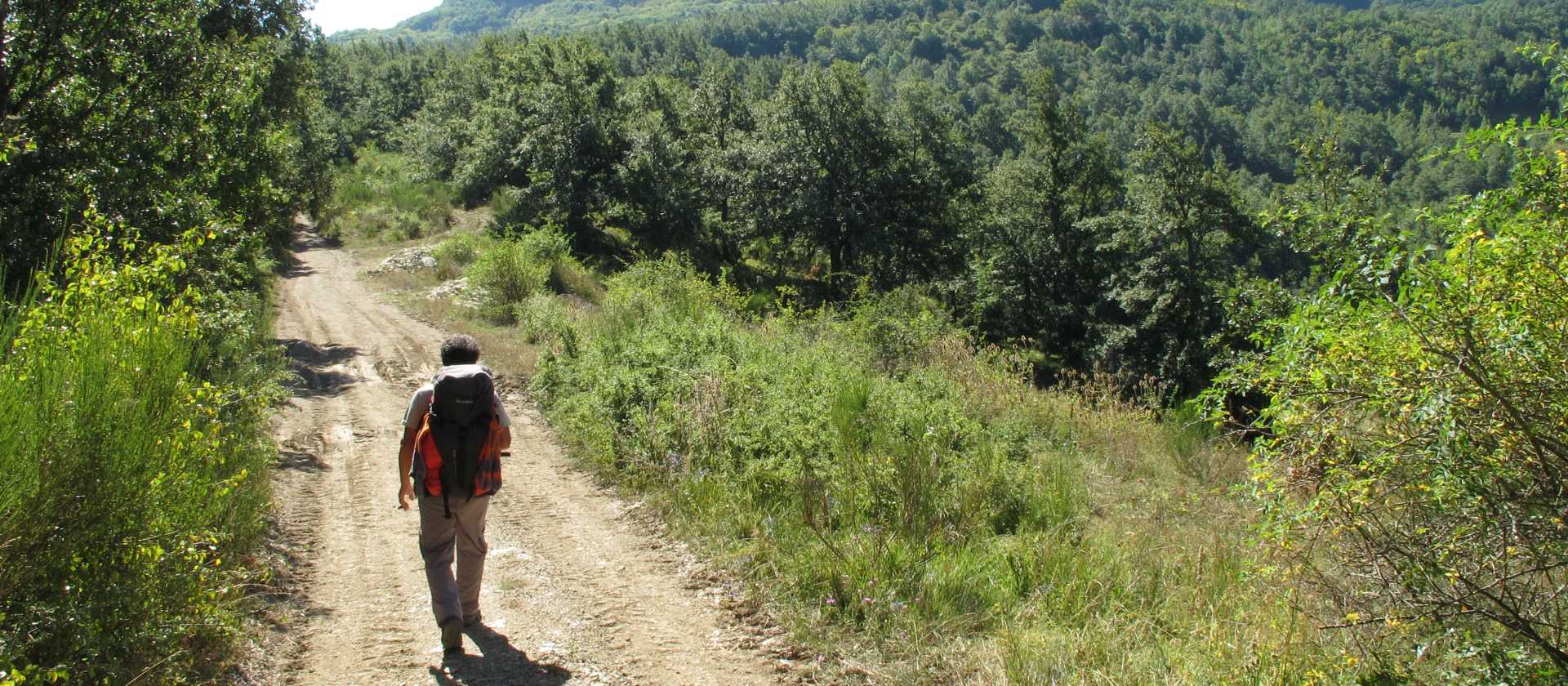 Hikers on the trail to Assisi on the St Francis Way