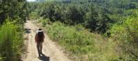 Hikers on the trail to Assisi on the St Francis Way