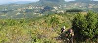 Walking on the open landscapes of western Tuscany on the St Francis Way