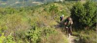 Walking on the open landscapes of western Tuscany on the St Francis Way