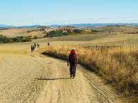 Pilgrims making their way towards Rome on the Via Francigena