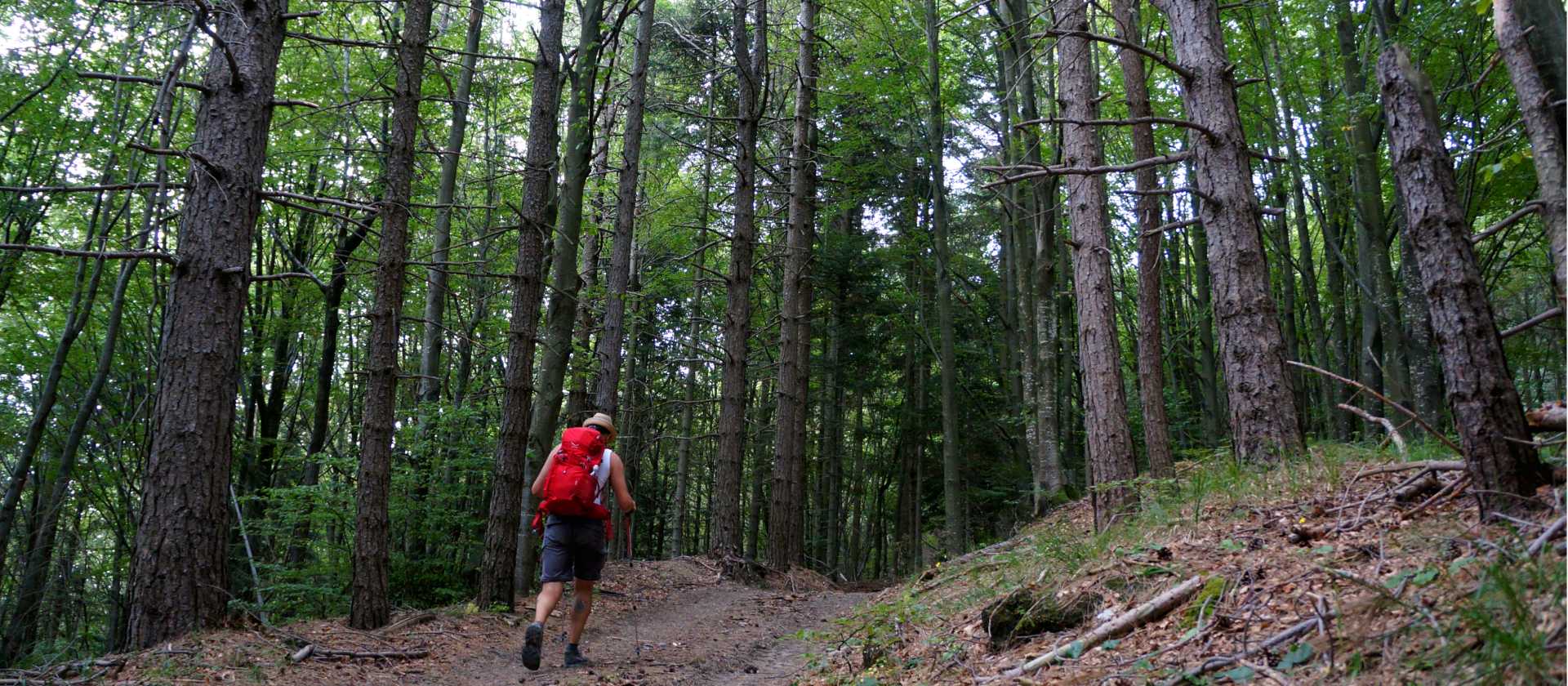 Hiking the Via Francigena between the Cisa Pass and Pontremoli