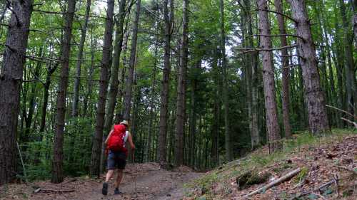 Hiking the Via Francigena between the Cisa Pass and Pontremoli