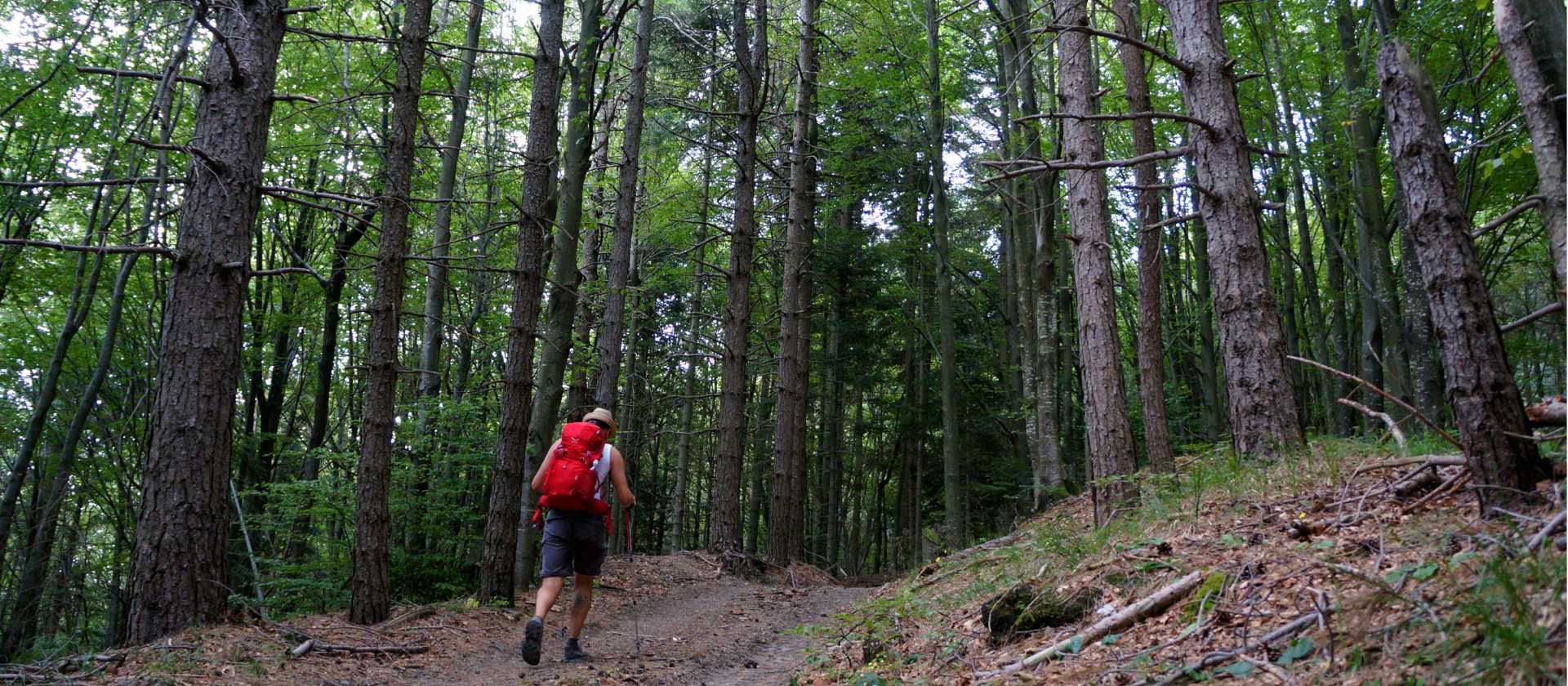 Hiking the Via Francigena between the Cisa Pass and Pontremoli
