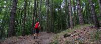 Hiking the Via Francigena between the Cisa Pass and Pontremoli