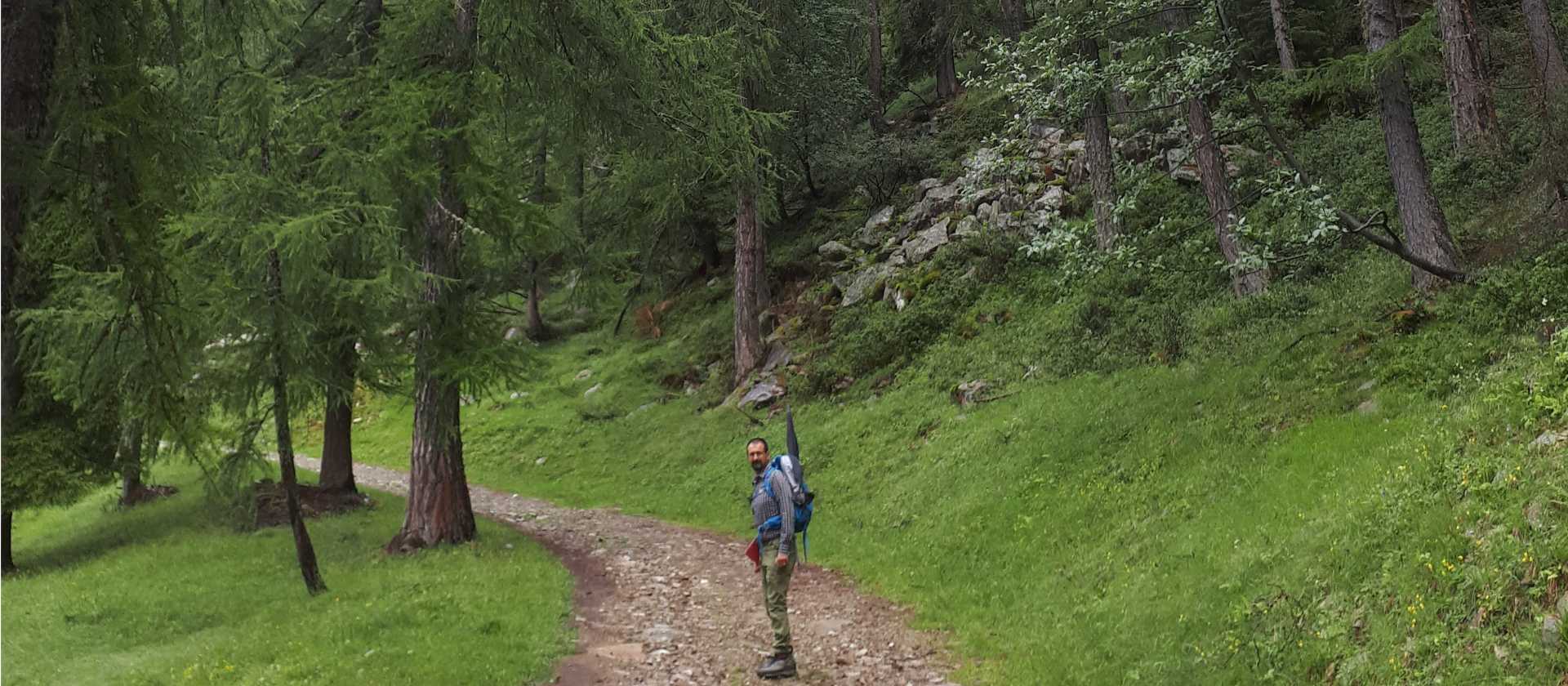 Following the forest trails of the Italian Alps.