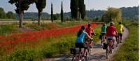 Cycling from Bolzano to Verona through the Po Delta Park