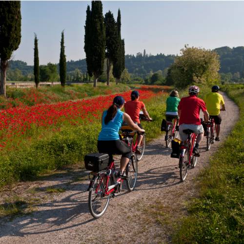 self guided bike tours italy