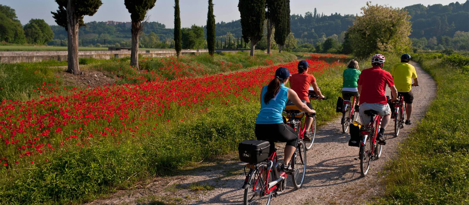 Cycling from Bolzano to Verona through the Po Delta Park
