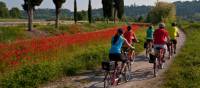 Cycling from Bolzano to Verona through the Po Delta Park