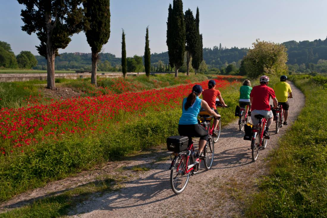 Cycling from Bolzano to Verona through the Po Delta Park