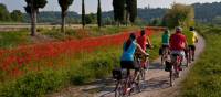 Cycling from Bolzano to Verona through the Po Delta Park