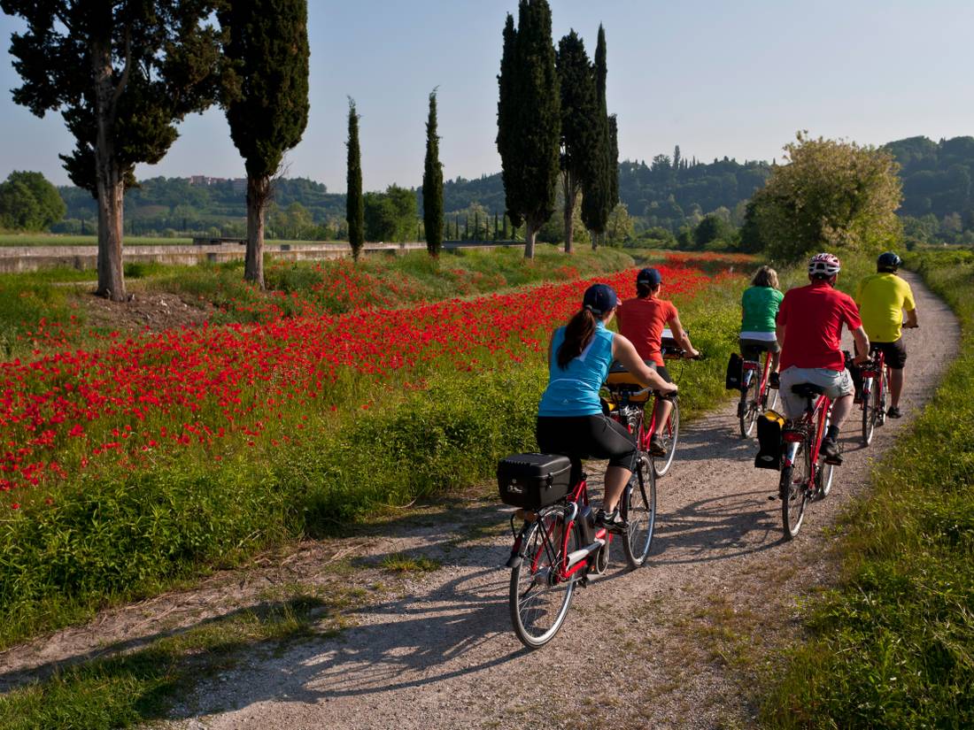 Cycling from Bolzano to Verona through the Po Delta Park