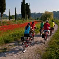 Cycling from Bolzano to Verona through the Po Delta Park