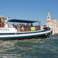 The Vita pugna in Venice