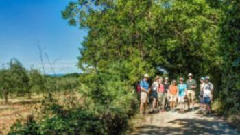 A group walks along the Via Francigena