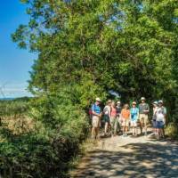 A group walks along the Via Francigena | Steven dosRemedios