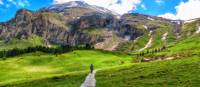 Looking up at huge, wildly eroded limestone cliffs in the Dolomites, Italy, where mountain peaks and spires soar above meadows, forests and lakes. | Anthony Holm