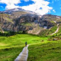 Looking up at huge, wildly eroded limestone cliffs in the Dolomites, Italy, where mountain peaks and spires soar above meadows, forests and lakes. | Anthony Holm