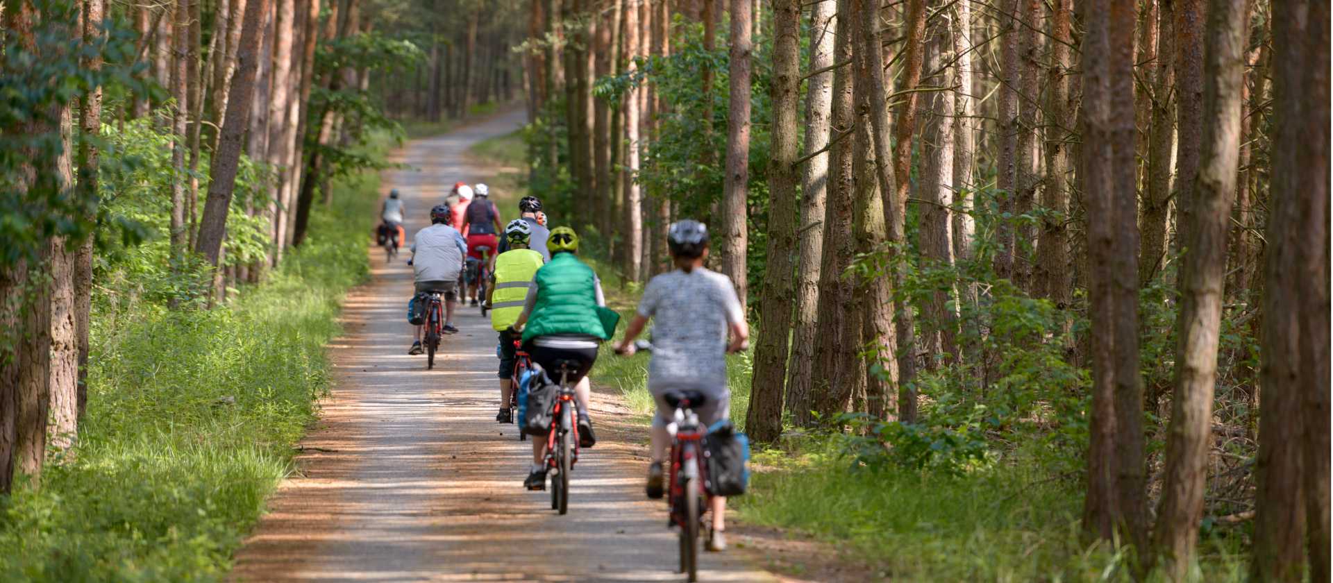 Cycling forest paths in Sicily. | Pat Rochon