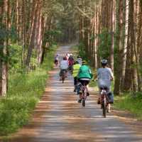 Cycling forest paths in Sicily. | Pat Rochon