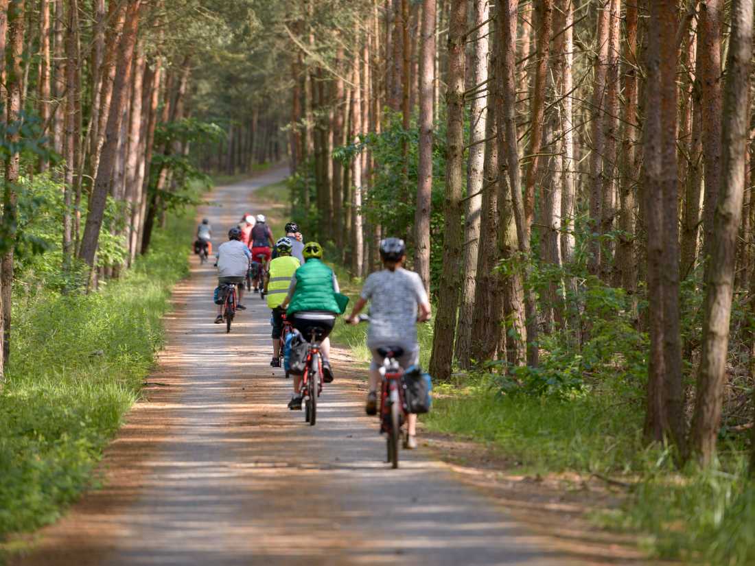 Cycling forest paths in Sicily. |  Pat Rochon
