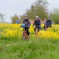 Cycling through flowers in Sicily. | Pat Rochon
