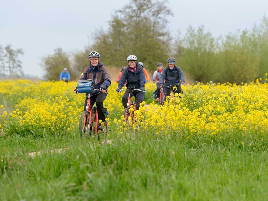 Cycling through flowers in Sicily. |  Pat Rochon