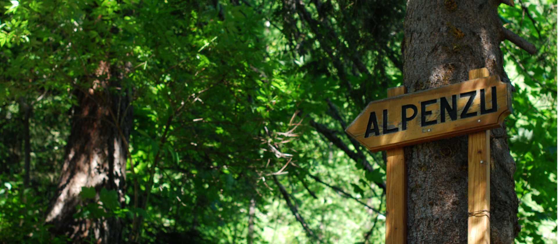 Sign leading towards Alpenzu on the Monte Rosa hike | Matteo Galli