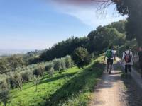 Ascending to the hill top Tuscan town of Montalcino |  <i>Kate Baker</i>