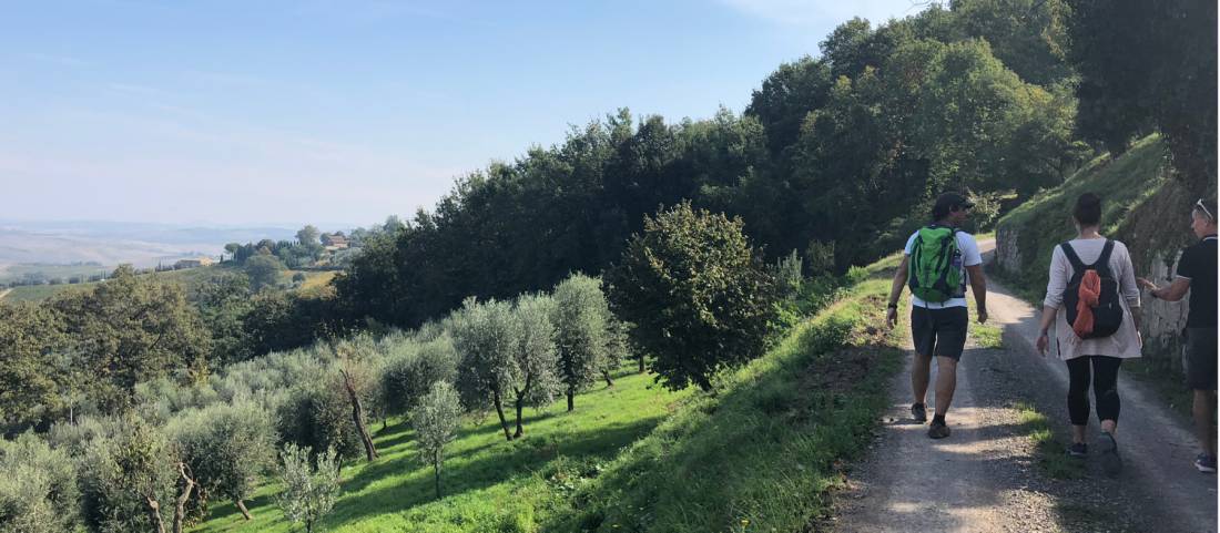 Ascending to the hill top Tuscan town of Montalcino |  <i>Kate Baker</i>