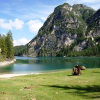 Walking the Alta Via 1 in the Dolomites