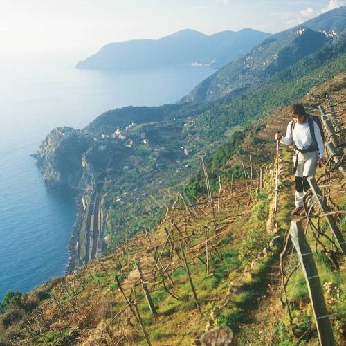 Cinque Terre Walking Holidays Cinque Terre Hiking Trips Self Guided Group Tours