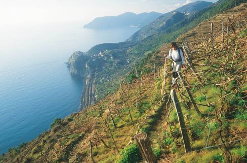 Hiking high above the Ligurian coastline in the Cinque Terre