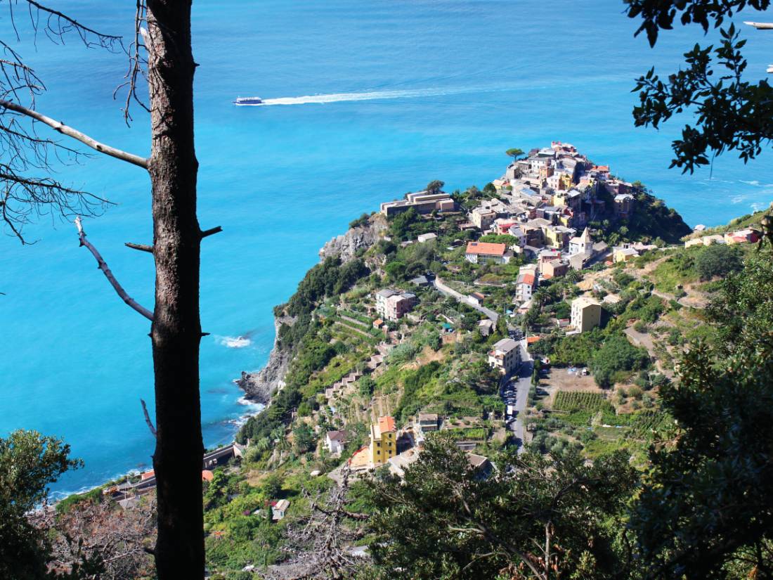 Looking down on the town of Corniglia |  <i>Philip Wyndham</i>