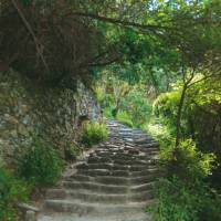 Walking trail through the Cinque Terre | Rachel Imber