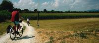 Cyclists on the backroads to Venice |  <i>Sue Badyari</i>