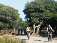 Cycling in Sardinia