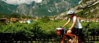 Cycle past spectacular scenery outside of Bolzano |  <i>Sue Badyari</i>