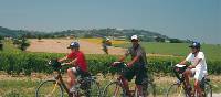 Cycling in Italy is a wonderful experience for all the family | Sue Badyari