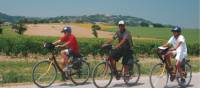 Cycling in Italy is a wonderful experience for all the family |  Sue Badyari