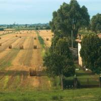 Typical farmland in the Po Delta, Veneto, Italy | Kate Baker