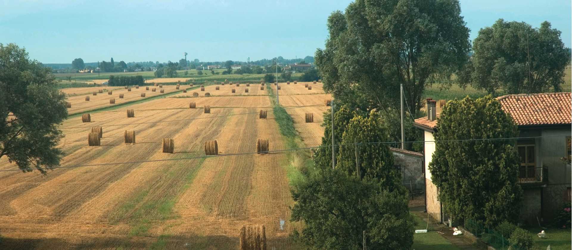 Typical farmland in the Po Delta, Veneto, Italy | Kate Baker